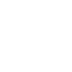 Snaks