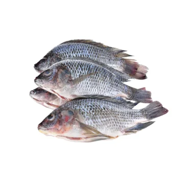 FROZEN TILAPIA - Whole G&S 3/5 (2kg) Bag